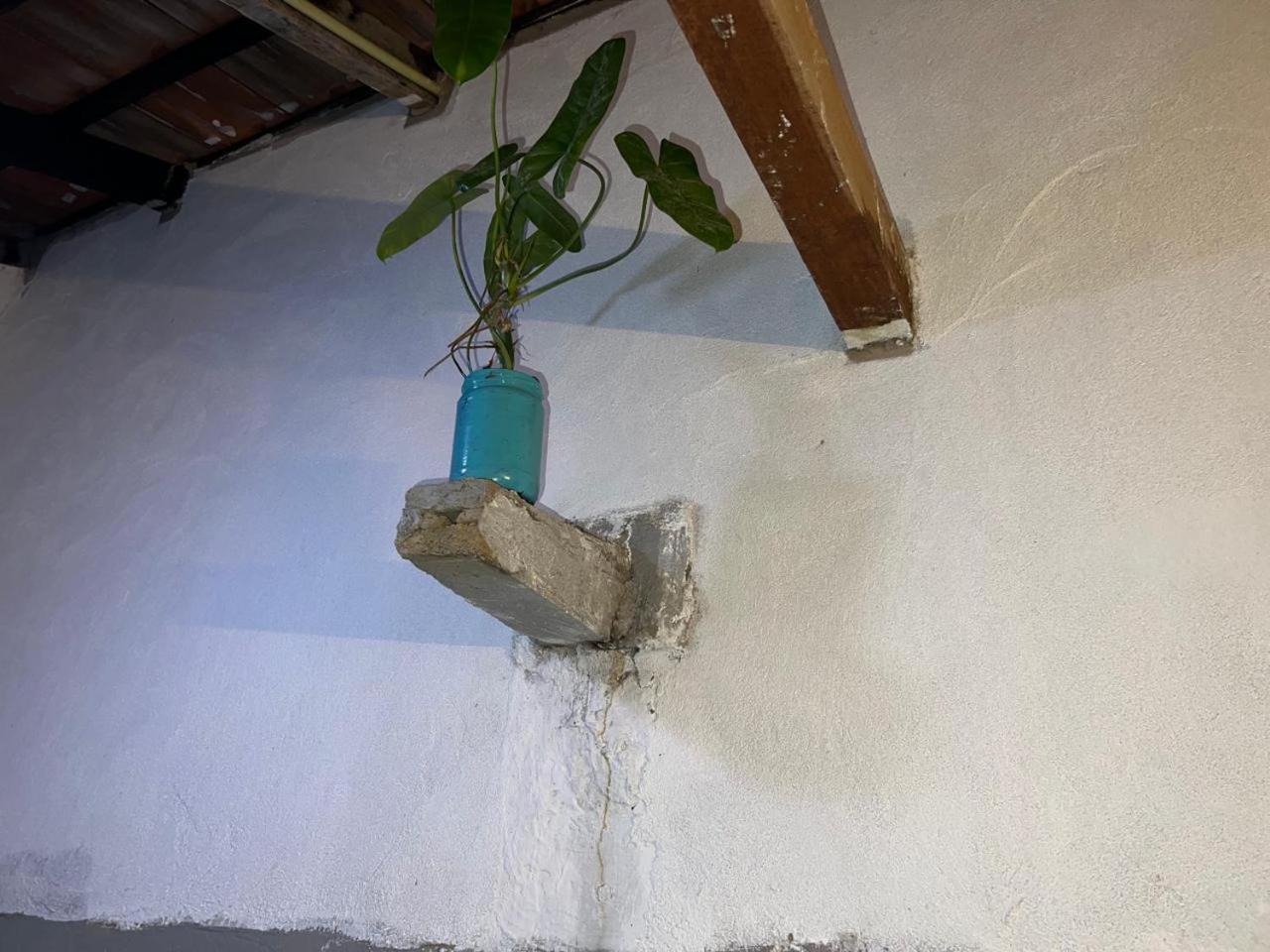 Albergue Cactus Arugambay Arugam Bay Exterior foto