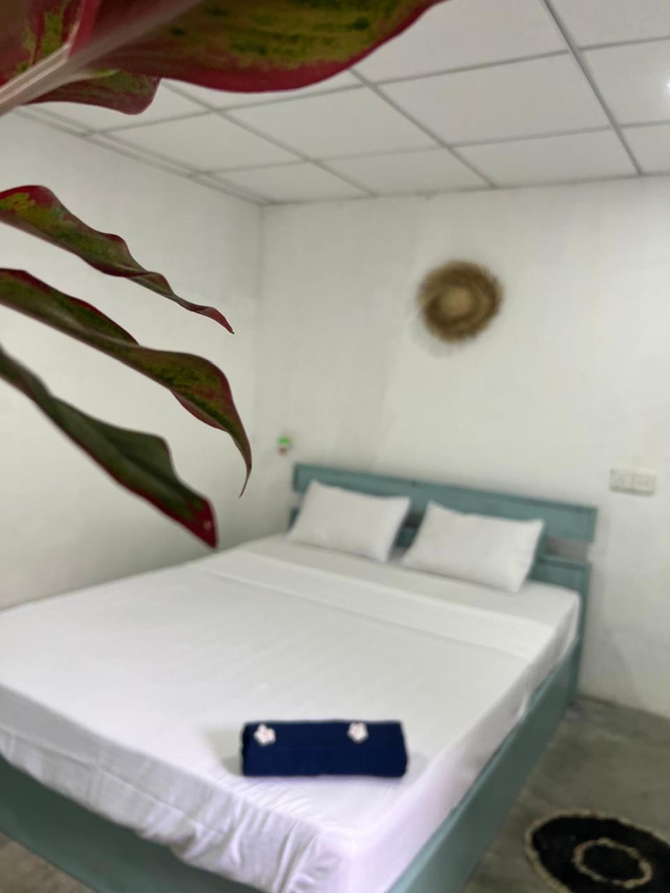 Albergue Cactus Arugambay Arugam Bay Exterior foto