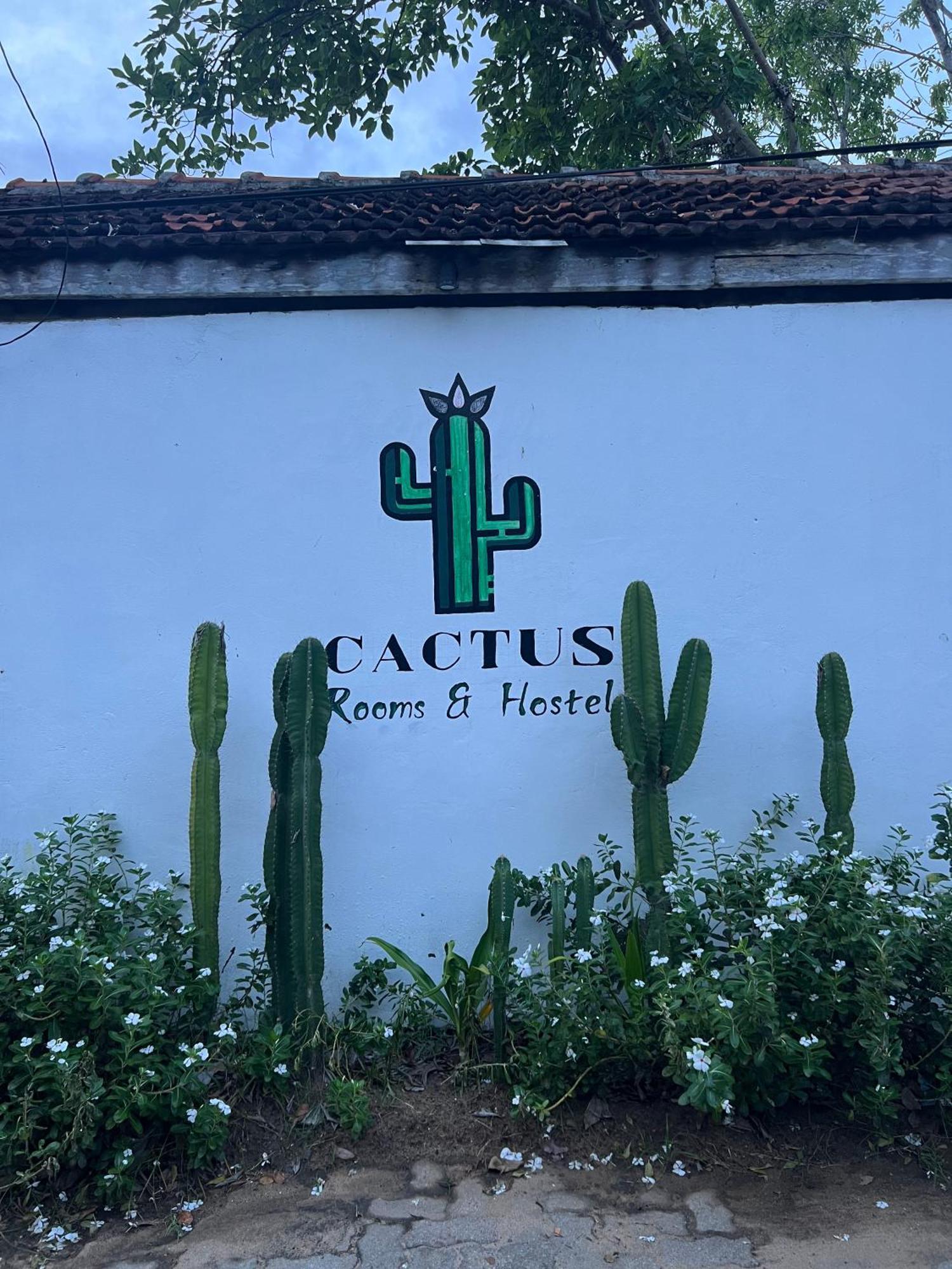 Albergue Cactus Arugambay Arugam Bay Exterior foto